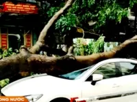 Mua bảo hiểm xe ô tô - Nên hay không?