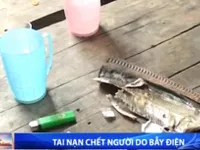 Tai nạn chết người do bẫy điện diệt chuột