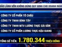 Kiến nghị xử lý hơn 205 tỷ đồng sai phạm tại Tổng Công ty Lương thực miền Nam