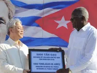 Vietnamese firms tap Cuban market potential