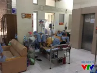 Hà Nội đã có 6 trường hợp tử vong do sốt xuất huyết