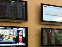 VN shares decline for second day