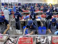 VN fish exports to face tough US inspections