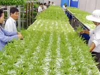 Ministry to promote agriculture investment