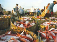 TPP has long-term advantages