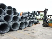 Deputy PM seeks steel report