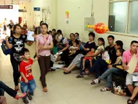 Hà Nội tackles summer diseases