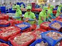 Tra fish exports expected to drop 5% this year