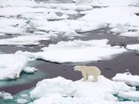 Băng tan kỷ lục ở Greenland