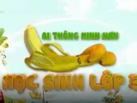 Tiêu điểm 24/12: “Ai thông minh hơn học sinh lớp… 3”