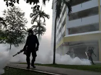 Số ca nhiễm virus Zika tại Singapore tăng lên 215 người