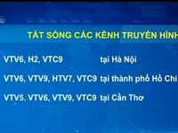 Từ 15/8, ngừng phát sóng truyền hình tương tự mặt đất tại 5 thành phố lớn