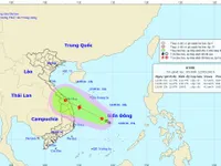 Áp thấp nhiệt đới mạnh lên thành bão trong 12 giờ tới