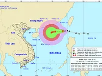 Bão số 6 di chuyển chủ yếu theo hướng Tây trong 24 giờ tới