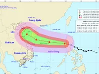 Bão Sarika vào Biển Đông trở thành cơn bão số 7