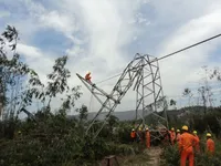 Cảnh báo tai nạn điện và vi phạm hành lang an toàn lưới điện