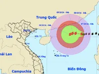 Bão số 6 có khả năng đổi hướng di chuyển