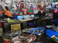 Bộ Y tế khuyến cáo 154 mẫu hải sản miền Trung không nên ăn