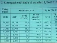 Kim ngạch xuất khẩu cá tra đã tăng 5,5