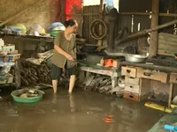 Vỡ đê do thi công tắc trách, dân Cần Thơ “bơi” trong biển nước