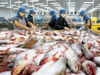 Xuất khẩu cá tra tăng mạnh