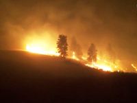Bang Washington, Mỹ ban bố tình trạng cháy rừng