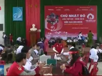 Tuổi trẻ Quảng Bình nhiệt tình hưởng ứng ngày “Chủ nhật đỏ”