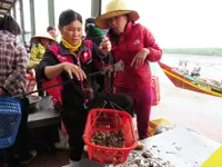 Người dân miền Trung lúng túng vì danh mục hải sản an toàn và không an toàn