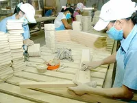 SMEs can borrow investment capital for supporting industries