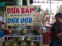 Trà Vinh: Dừa sáp 200.000 đồng/quả vẫn không đủ bán