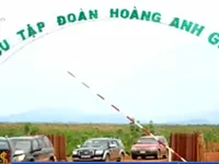 10 ngân hàng chủ nợ thống nhất tái cơ cấu nợ cho Hoàng Anh Gia Lai