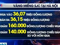 Giá vàng trong nước đồng loạt giảm mạnh theo thế giới