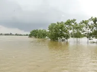 Nhiều nơi ở Hà Tĩnh vẫn chìm trong biển nước