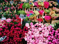 Ghé thăm khu chợ hoa sôi động tại London