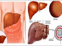 Chữa viêm gan B, C theo hướng điều trị suốt đời