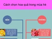 [INFOGRAPHIC] Những loại quả nên và không nên ăn trong mùa hè này