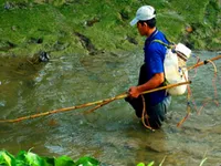 Cần Thơ nghiêm cấm sử dụng xung điện đánh bắt thủy sản