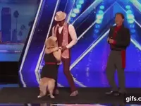 Những khoảnh khắc cười 'té ghế' của MC America"s Got Talent