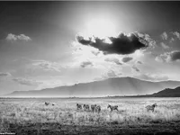 Rung động với những bức ảnh vùng nông thôn Kenya