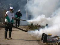 Brazil quyết tâm ngăn chặn virus Zika