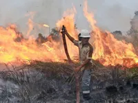 Điểm lại những vụ cháy rừng gây thiệt hại lớn trên thế giới