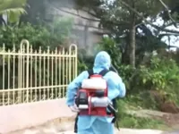 Khánh Hòa tăng cường phòng chống Zika và sốt xuất huyết