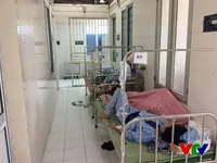 Gia Lai có gần 10.000 ca sốt xuất huyết