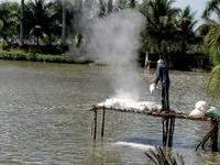 VN must prepare well for natural disasters