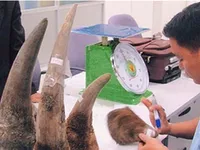 Communication helps change behaviour, saves wildlife consumption