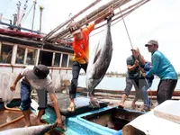 Thailand to receive Vietnamese workers for fishing, construction