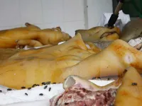 Police forces seize cattle meat of unclear origin