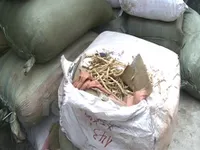 Medicinal herbs with unclear origins seized