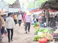 Chợ Kim mới, Đông Anh: 'Hét giá' cho thuê chỗ bán rau 100.000 đồng/ngày