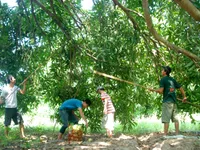 S Korea, VN ink trade and investment deal